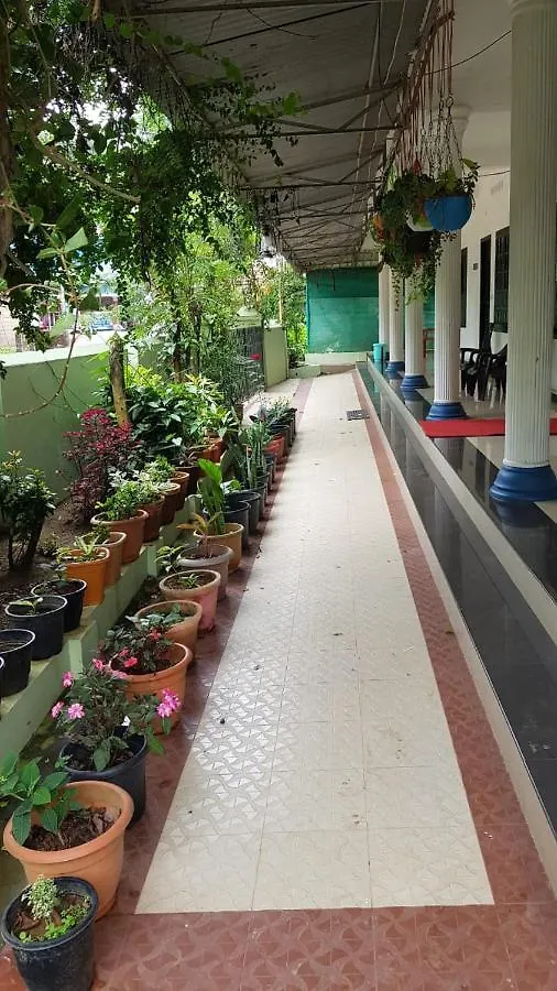 Viduthi Homestay Munnar